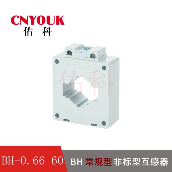 BH-0.66 60I  电流互感器