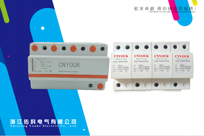 雷涌 浪涌保护器 YKLY-F(Y) 浪涌保护器 标准型